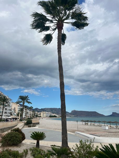 Beach at the FitFarms Retreat Spain