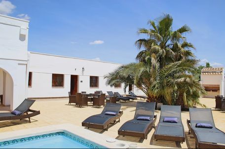 Sunbeds at the Wellness Retreat in Alicante